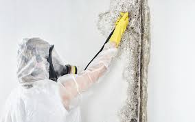 Best Real Estate Mold Inspection  in Richmond Hill, GA